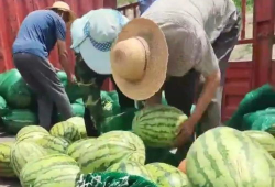 莱芜区吃瓜最新事件爆料,揭秘背后惊人真相！