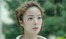 毕然家栋是什么电视剧,揭秘现代都市中的家庭情感纠葛